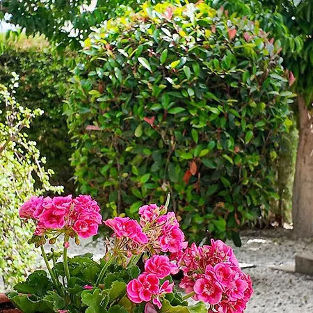 Talya Villa *